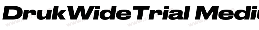 DrukWideTrial Medium字体转换